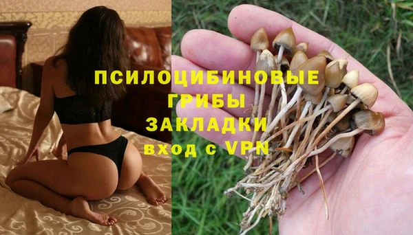 хмурый Алексин