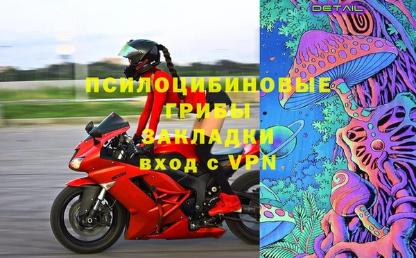 хмурый Алексин